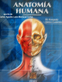 ANATOMIA HUMANA TOMO III