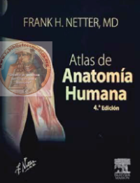 ATLAS DE ANATOMIA HUMANA 4TA EDICION